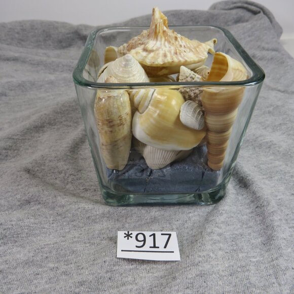 REAL Sea Shells in a Glass Square Vase and sand #2 - Picture 4 of 10